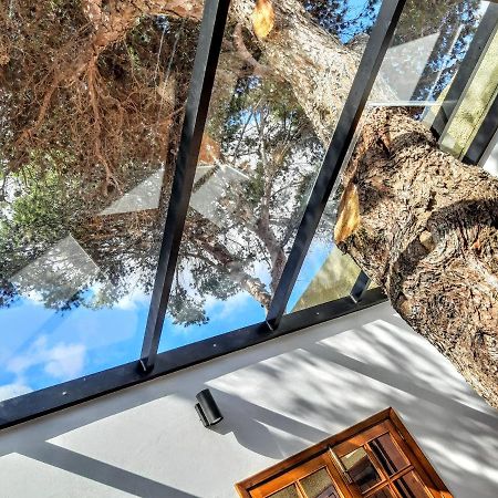 Beach Tree House Порту-Санту Экстерьер фото